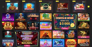 bdwinbet
